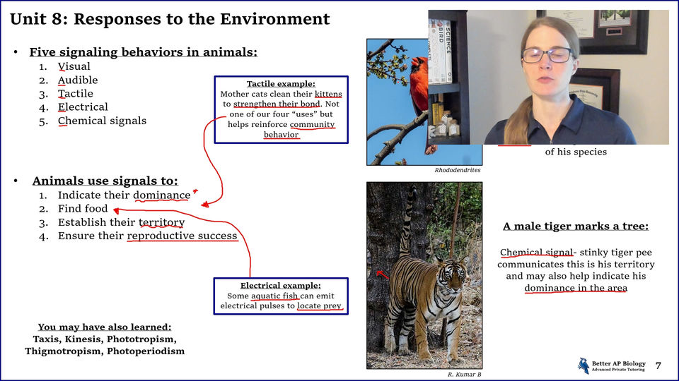L1- Responses to the Environment